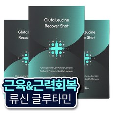 히이즈 글루타 류신 리커버샷 근육회복, 3개, 280g