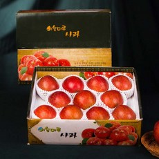 [이슬마루]경북 사과 선물세트 3kg(8~10과내외), 1개