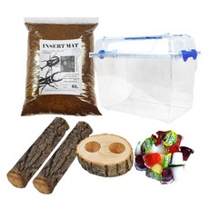 포시즌 장수풍뎅이 스페셜 세트 특대형, 1개