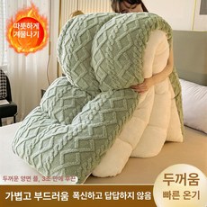 플리스 담요 두꺼운 이불 따뜻한 플란넬 양털, 타푸오 겨울 이불-프룻그린