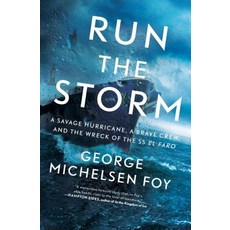 (영문도서) Run the Storm Paperback, Scribner Book Company, English, 9781501184901