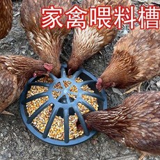 雞鴨鵝餵食器 圓形30cm14孔, 1個, 全塑料款30公分12孔