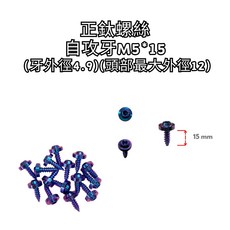 豆米三萬 TOMIZAWA 正鈦螺絲 自攻牙螺絲 15mm M5 4.9 baut titanium 車殼螺絲 鈦螺絲, 1個, 1個裝, 1.5cm