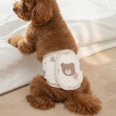 이지유 애견 마킹방지 매너벨트 수컷 팬티 곰돌이, 1개, 1개입, 중형