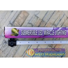 西高地水族坊 新加坡仟湖 神奇龍魚燈 LED水中燈 過背金龍專屬 86cm 3尺, 1個