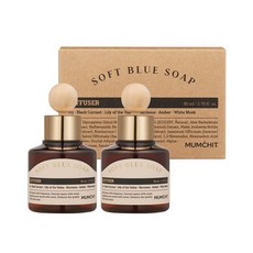 멈칫 바이오톡스 차량용디퓨저80ml, 바이오톡스차량용디퓨저 소프트블루솝80ml, 2개