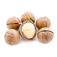 2025년 통관 최상급 프리미엄 생 통 껍질 마카다미아 베트남 최신 통관 견과류, 2개, 500g