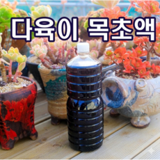 다육이야기 목초액1.8L 식물보호제, 1개