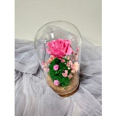 永生玫瑰玻璃罩乾燥花藝術擺飾, 粉色