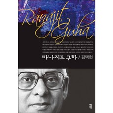 라나지트 구하, 커뮤니케이션북스, 김택현 저