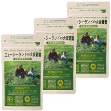 유기 보리 새잎 100% 뉴질랜드 보리 새잎 90g 3봉 세트, One Size, 1g, 1개