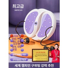 올원픽 허리돌리기운동기구 회전 공원 실내 가정용, 1개, 드림퍼플 B