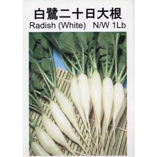 白長二十日大根種子 迷你型白蘿蔔 採收快, 1包