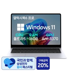 삼성전자 갤럭시북6 프로 NT940XJG-K51A 14인치(35 5cm) 인텔 Ultra 5 16세대 팬서레이크 터치스크린 서울/경기 퀵서비스 2만원지원, G-K51AS, WIN11 Pro, 16GB, 512GB, 실버