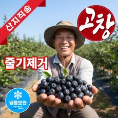 더맛곳간 국내산 고창 생 아로니아 국산 생과 시즌 종료 시 냉동 발송, 1개, 1kg 특품