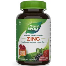 (해외) Nature's Way Zinc Mixed Berry Flavour 60 Gummies, 60g