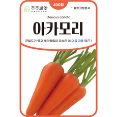 [주주씨앗] 펠렛코팅 아카모리 당근씨앗 400립 권농종묘 당근씨 채소씨앗 당근종자, 1개