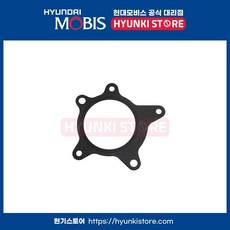 가스켓워트 펌프 (251242B000), 1개