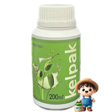 켈팍 200ml 해조추출물 뿌리 발근 생리활성 다기능 한국농자재, 1개