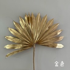 “Be a florist 花藝夢” 進口乾燥蒲葵葉 *買五送一* 扇形.圓形.尖形 乾燥花材 不凋花 永生花, 扇形-金色