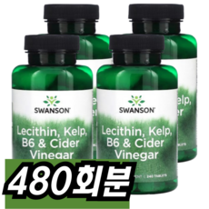 스완슨 레시틴 켈프 B-6 & 사이다 식초 타블렛, 480회분, 1개