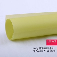컬러 트레이싱지 트레싱지 용지 다꾸 스크랩북 공예, 1개, 풀오픈 78x109cm 연녹색 2장