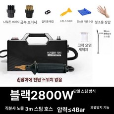 고압 스팀해빙기 스팀 청소기 언수도녹이기 분사기 가정용, 검정 2800w 고온고압 스팀건 없음, 1개