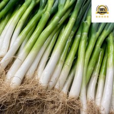 국내산 손질 대파 1단 (2k 내외), 4kg, 1개