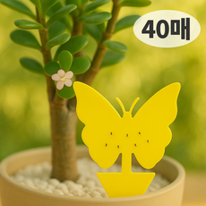 올릭 초파리 트랩 날파리 파리 끈끈이, 40개, 3g 40개, 3g