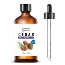 닥터월드 뷰티 대용량 에센셜오일 118ml, 시더우드