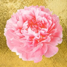 풍수아트 센스있는 개업 집들이 선물 황금 해바라기 그림 골드 연꽃 모란꽃 액자 거실 현관 인테리어, 6.골저스핑크