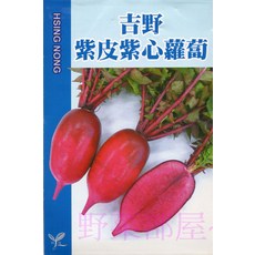 吉野紫皮紫心蘿蔔種子 優良品種 肉質鮮甜細緻 適合生食, 1包