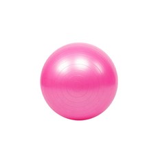메이크잇 홈트레이닝 짐볼 핑크 65CM(펌프포함), 2개