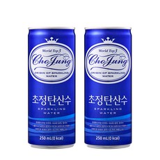 초정탄산수, 250ml, 30개 250ml, 30개