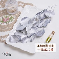 極度花燥 尤加利葉噴銀