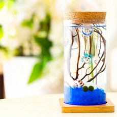 코지테라 LED 유리병 마리모 키우기 6.5x12.5cm 탁상인테리어