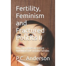 (영문도서)Fertility Feminism and Fractured Politics II: Why Birth Rates are Falling - And... Paperback, Independently Published, English, 9798259324176 Independently Published, English, 9798259324176