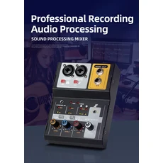 2채널 오디오 믹서 녹음 장비 개인 라이브 방송 미니 사운드 카드 USB 디지털 콘솔 믹싱, 01 검정색