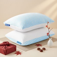 잠자리 목편한 메모리폼 숙면 경추 베개, 2개, 블루&화이트