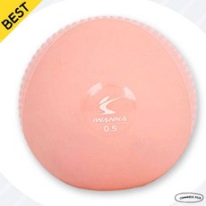 [0.5kg 재활용] 아이워너 소프트 토닝볼 2개 세트 마사지 웨이트 픽앤코501