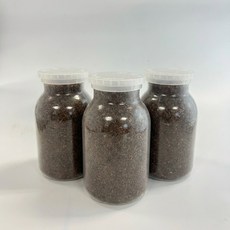 유충 키우기 유충병 톱밥병 850cc 3개 (사슴벌레 장수풍뎅이 애벌레 사육용 톱밥 포함)