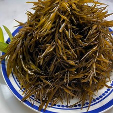 완도 제철 생 톳 톳나물 1kg 2kg 4kg, 생 톳 1kg, 1개