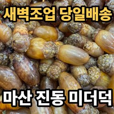 [새벽조업] 마산 산지직배송 깐 미더덕 횟감용, 1개, 1kg