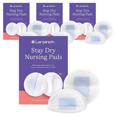 란시노 스테이 드라이 널싱 패드, 4개, 60개입