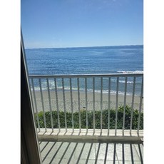 岩蘭草精油 10ml 植物萃取 幫助入睡 平衡情緒, 1個, 岩蘭草