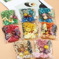 乾花材料包 永生花材料包 DIY乾花 相框貼畫乾花 浮游花材 兒童節花材 學生花藝課花材 袋裝花材, 隨機裝, 5包