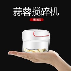 多功能切菜器 手動拉蒜器 迷你絞蒜機 切蒜家用 壓蒜器 搗蒜器, 1個, 170ML透明款 2刀片