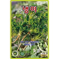 산들마켓 냉이 씨앗 5000립 향이 진하고 뿌리 발육이 좋은 국내산 재래종 고급 품종 종자, 3개
