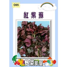 野菜部屋 O05 日本紅紫蘇種子 中包裝 氣味溫和, 1包
