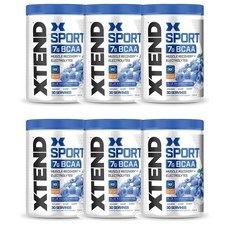 익스텐드 스포츠 BCAA 파우더 블루 라즈베리 345g, 6개